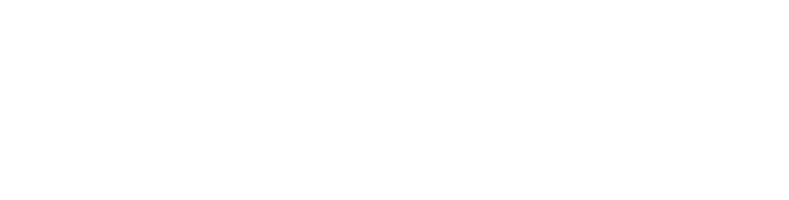 STATA logo